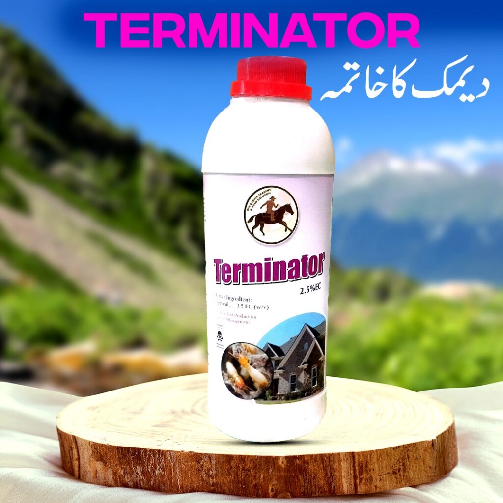 TERMINATOR FOR BEST TERMITE MEDICINE